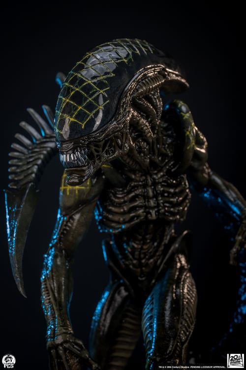 Alien vs. Predator Grid Alien 1/2 Scale Limited Edition Statue Gallery Image 12