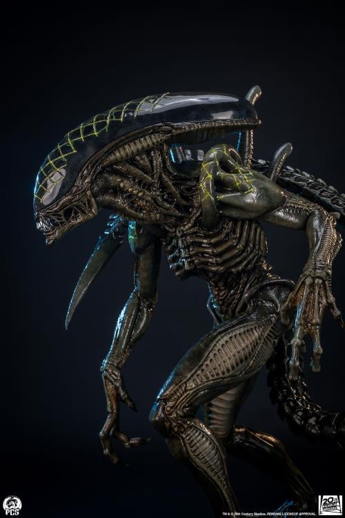 Alien vs. Predator Grid Alien 1/2 Scale Limited Edition Statue Gallery Image 13