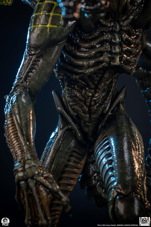 Alien vs. Predator Grid Alien 1/2 Scale Limited Edition Statue Gallery Image 33