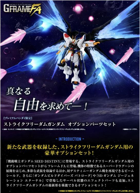 Mobile Suit Gundam: Strike Freedom Gundam G-Frame FA Optional Part Set Gallery Image 11