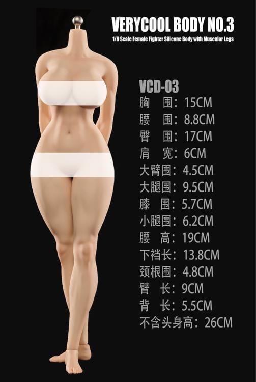 Female Body No.3 Fighter Physique (Ver. A) 1/6 Scale Silicone Body Gallery Image 5
