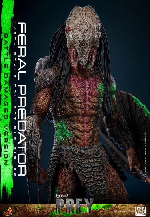 Prey TMS173 Feral Predator (Battle Damaged Ver.) 1/6th Scale Collectible Figure Gallery Image 11