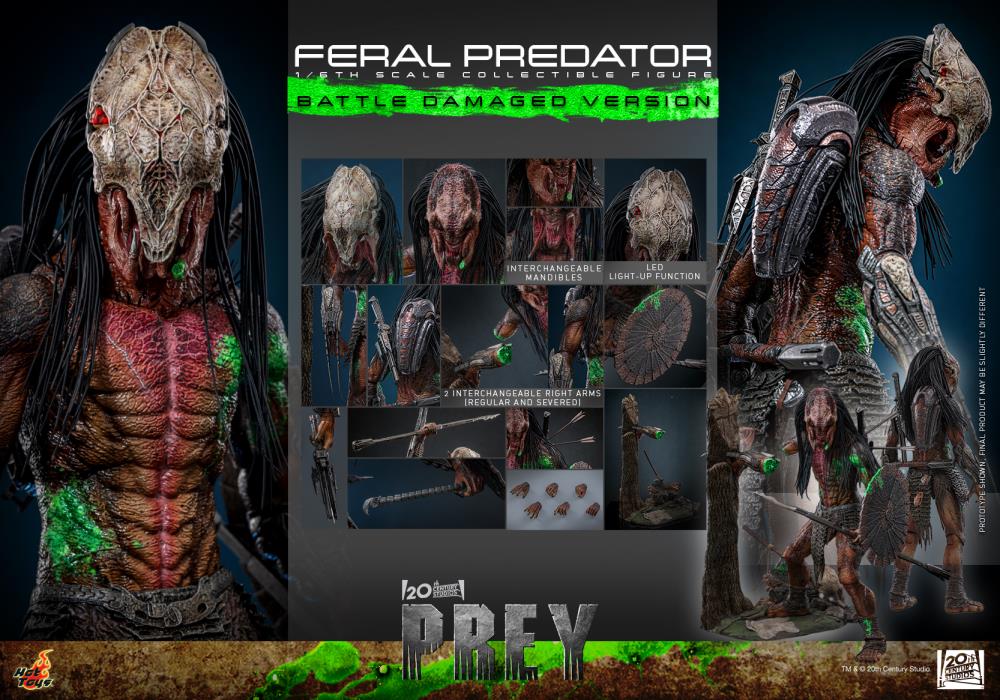 Prey TMS173 Feral Predator (Battle Damaged Ver.) 1/6th Scale Collectible Figure Gallery Image 22