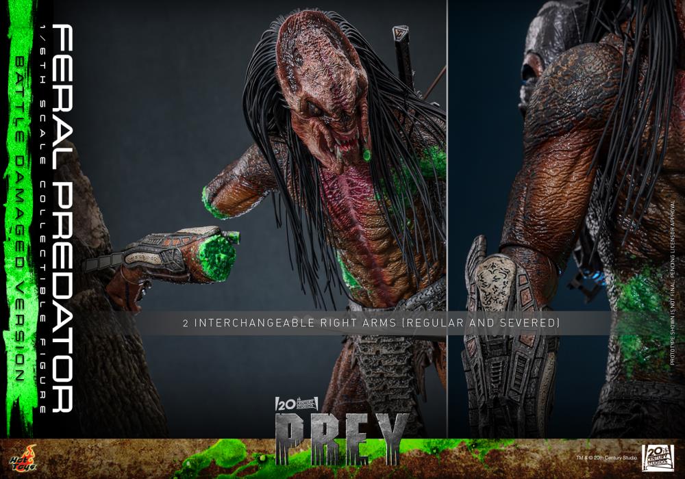 Prey TMS173 Feral Predator (Battle Damaged Ver.) 1/6th Scale Collectible Figure Gallery Image 20