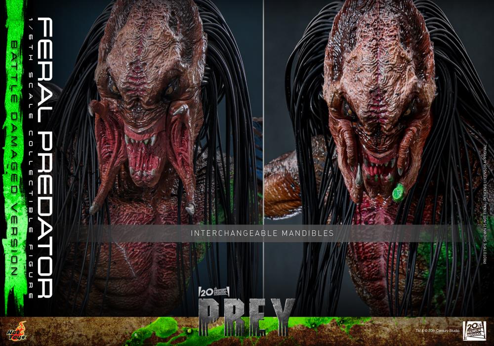 Prey TMS173 Feral Predator (Battle Damaged Ver.) 1/6th Scale Collectible Figure Gallery Image 21