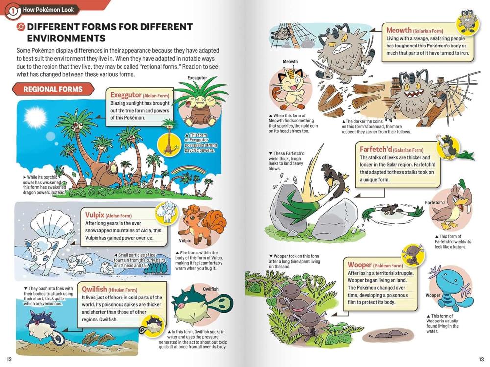 Pokecology An Illustrated Guide to Pokemon Ecology Gallery Image 4