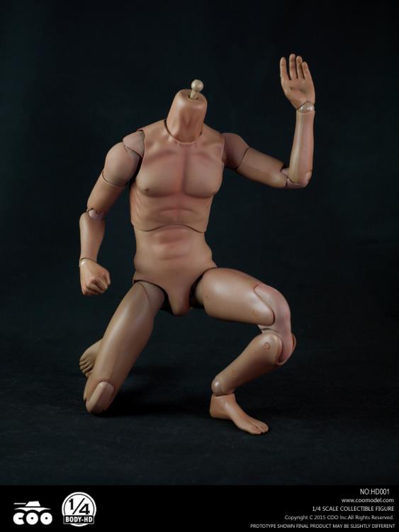1/4 Scale 18" HD Headless Body Gallery Image 5