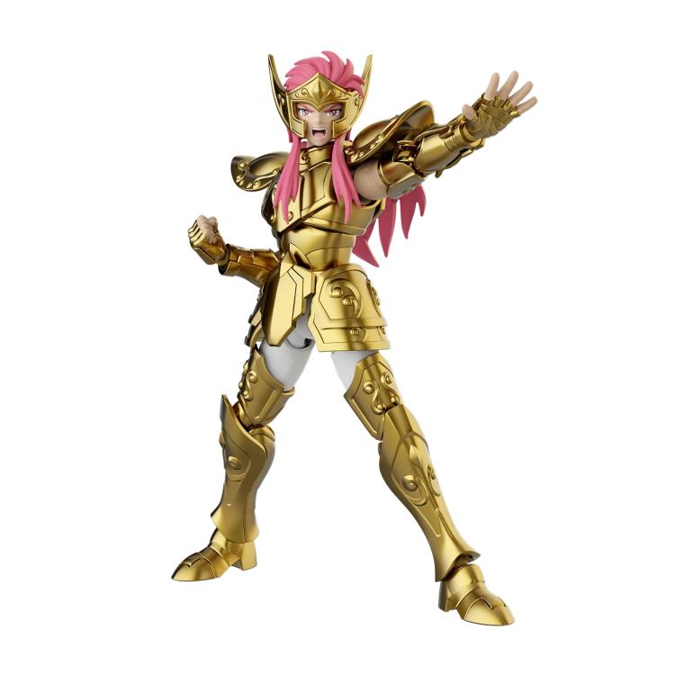 Saint Seiya Champion Class 08 Aquarius Camus Model Kit Gallery Image 4