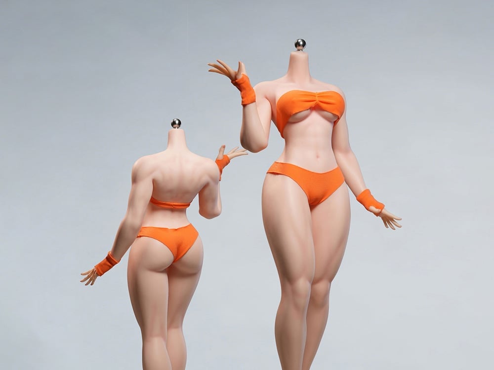 Fighting Style 1/6 Scale Female Body (MJ-CD01) Gallery Image 1