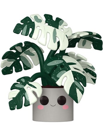 Flora Pop! Plants Jumbo Monstera Gallery Image 2