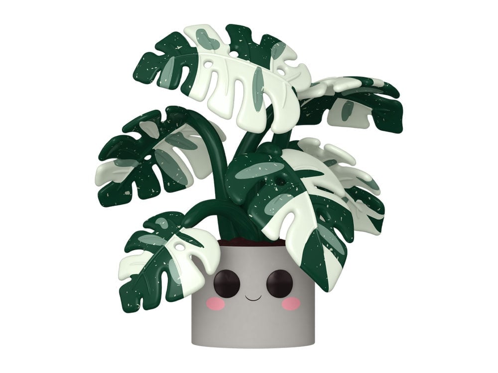 Flora Pop! Plants Jumbo Monstera Gallery Image 1