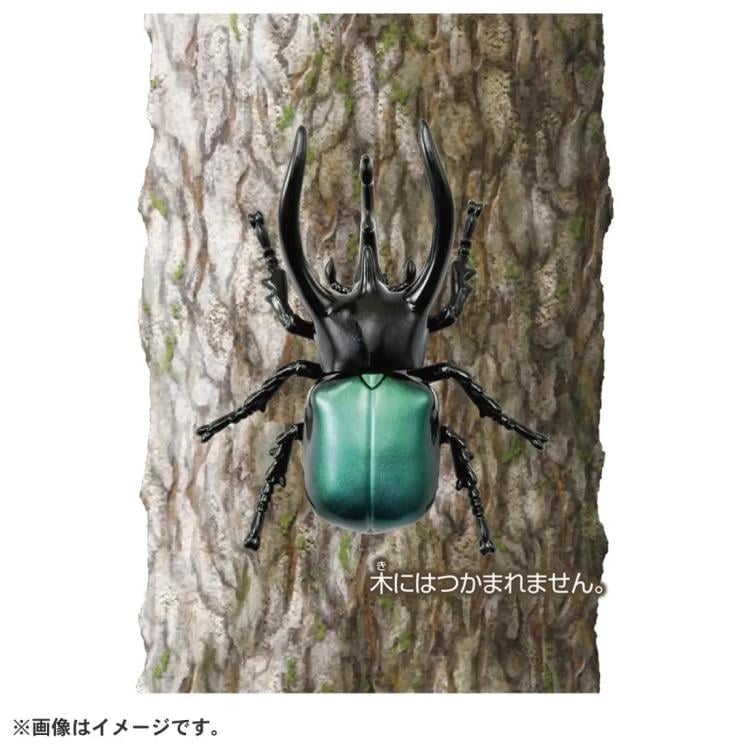 Ania AS-39 Three-Horned Beetle Gallery Image 6