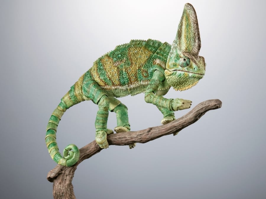 The Diversity of Life on Earth Premium Veiled Chameleon Action Figure Gallery Image 1