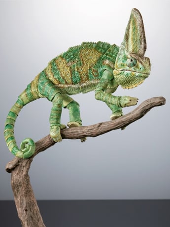 The Diversity of Life on Earth Premium Veiled Chameleon Action Figure Gallery Image 2