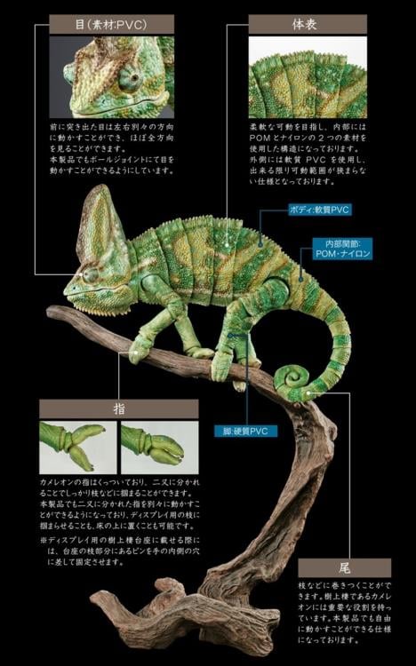 The Diversity of Life on Earth Premium Veiled Chameleon Action Figure Gallery Image 10