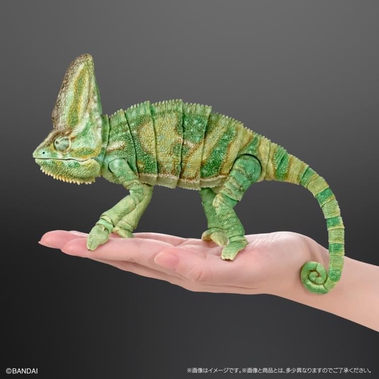 The Diversity of Life on Earth Premium Veiled Chameleon Action Figure Gallery Image 5