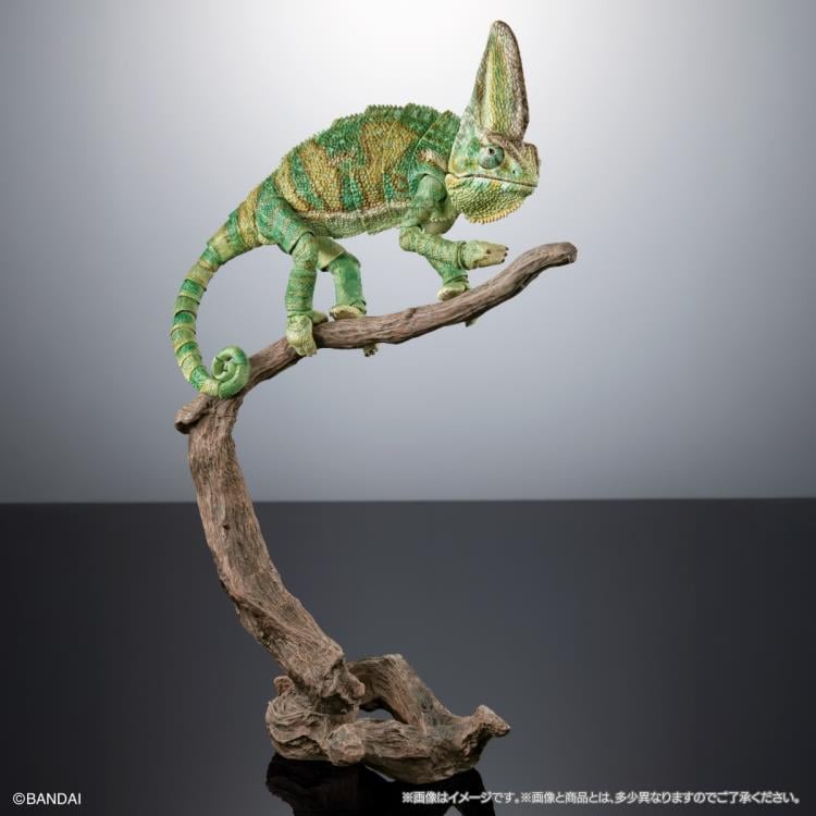 The Diversity of Life on Earth Premium Veiled Chameleon Action Figure Gallery Image 7