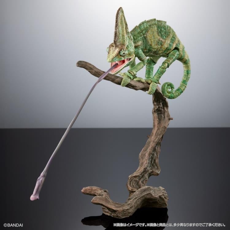 The Diversity of Life on Earth Premium Veiled Chameleon Action Figure Gallery Image 8