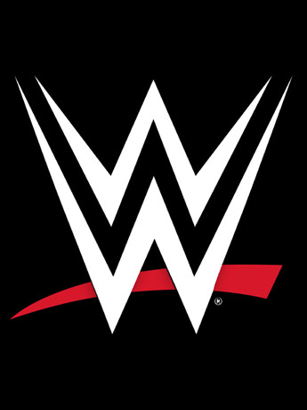 WWE Elite Collection Greatest Hits CM Punk Action Figure Gallery Image 2