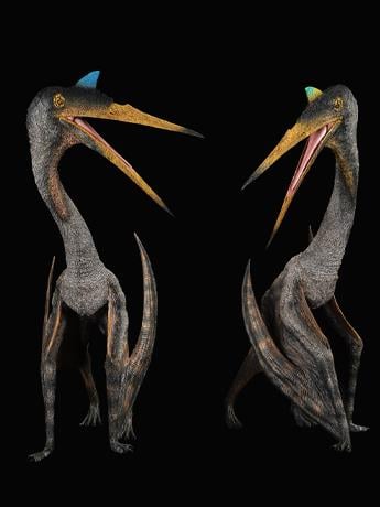 Quetzalcoatlus Lawsoni Couple "Gun & Ship" (Plateau Ver.) 1/11 Scale Replica Two-Pack Gallery Image 2