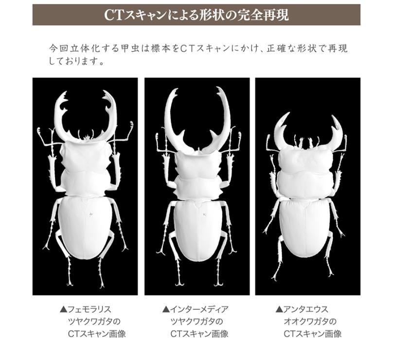 The Diversity of Life on Earth Stag Beetle 12 Bark Pedestal (Small) Figure Set Gallery Image 24