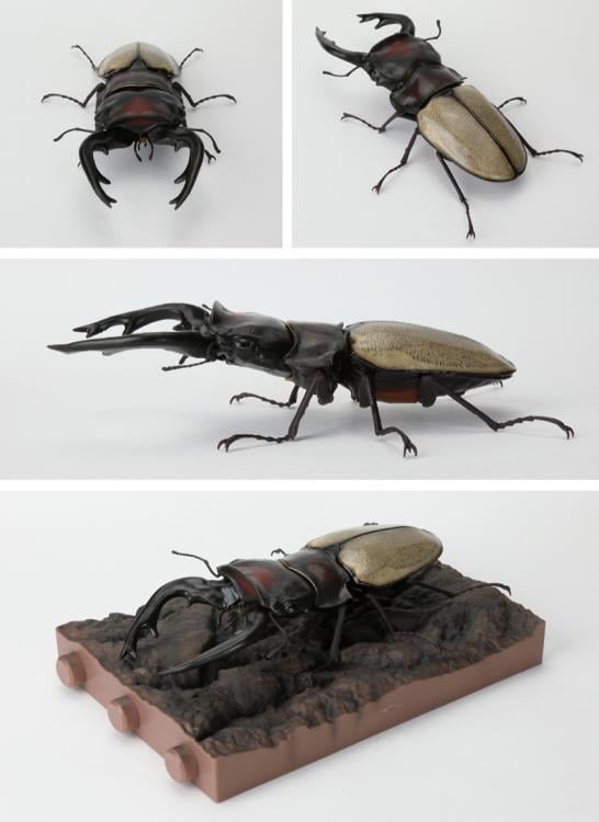 The Diversity of Life on Earth Stag Beetle 12 Bark Pedestal (Small) Figure Set Gallery Image 5