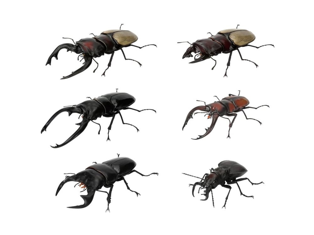 The Diversity of Life on Earth Stag Beetle 12 Bark Pedestal (Small) Figure Set Gallery Image 1