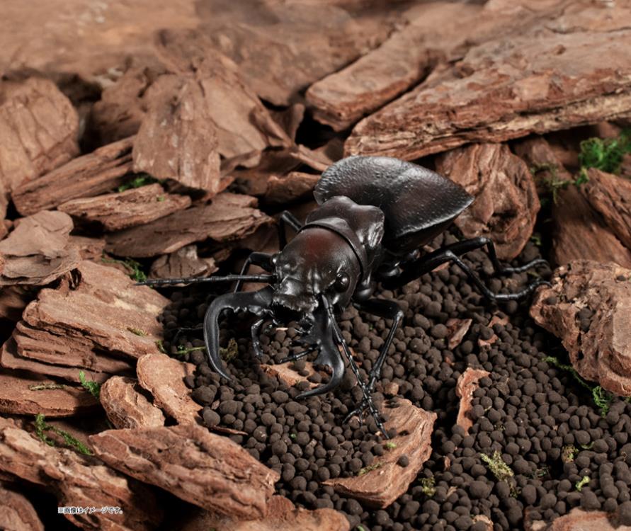 The Diversity of Life on Earth Stag Beetle 12 Bark Pedestal (Small) Figure Set Gallery Image 19