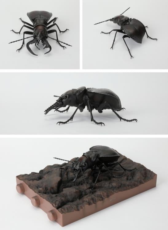 The Diversity of Life on Earth Stag Beetle 12 Bark Pedestal (Small) Figure Set Gallery Image 18
