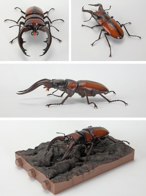 The Diversity of Life on Earth Stag Beetle 12 Bark Pedestal (Small) Figure Set Gallery Image 13