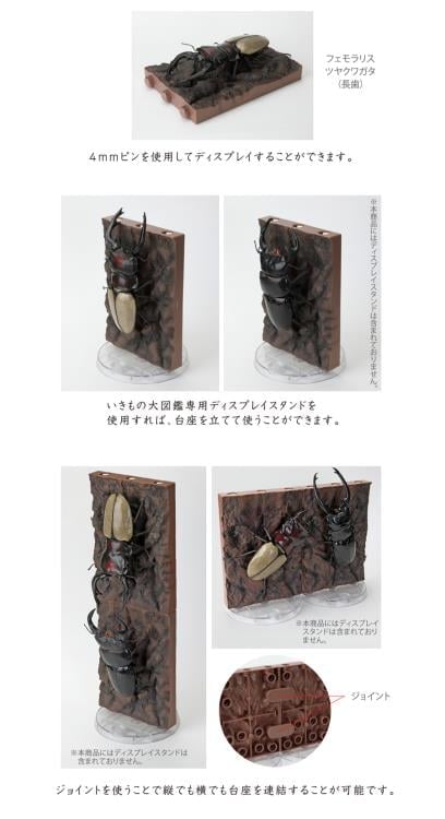 The Diversity of Life on Earth Stag Beetle 12 Bark Pedestal (Small) Figure Set Gallery Image 27