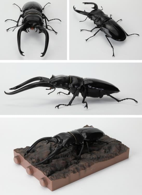 The Diversity of Life on Earth Stag Beetle 12 Bark Pedestal (Small) Figure Set Gallery Image 10