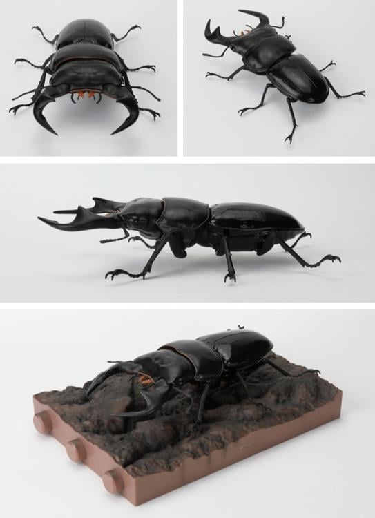 The Diversity of Life on Earth Stag Beetle 12 Bark Pedestal (Small) Figure Set Gallery Image 15
