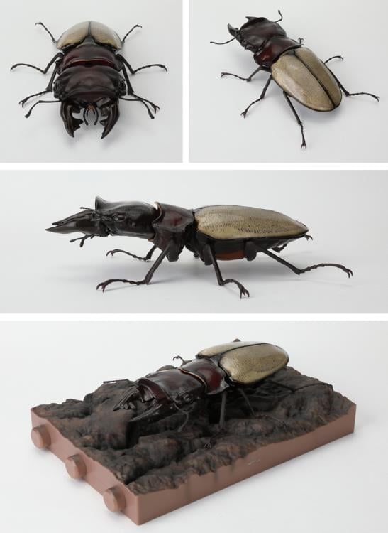 The Diversity of Life on Earth Stag Beetle 12 Bark Pedestal (Small) Figure Set Gallery Image 7