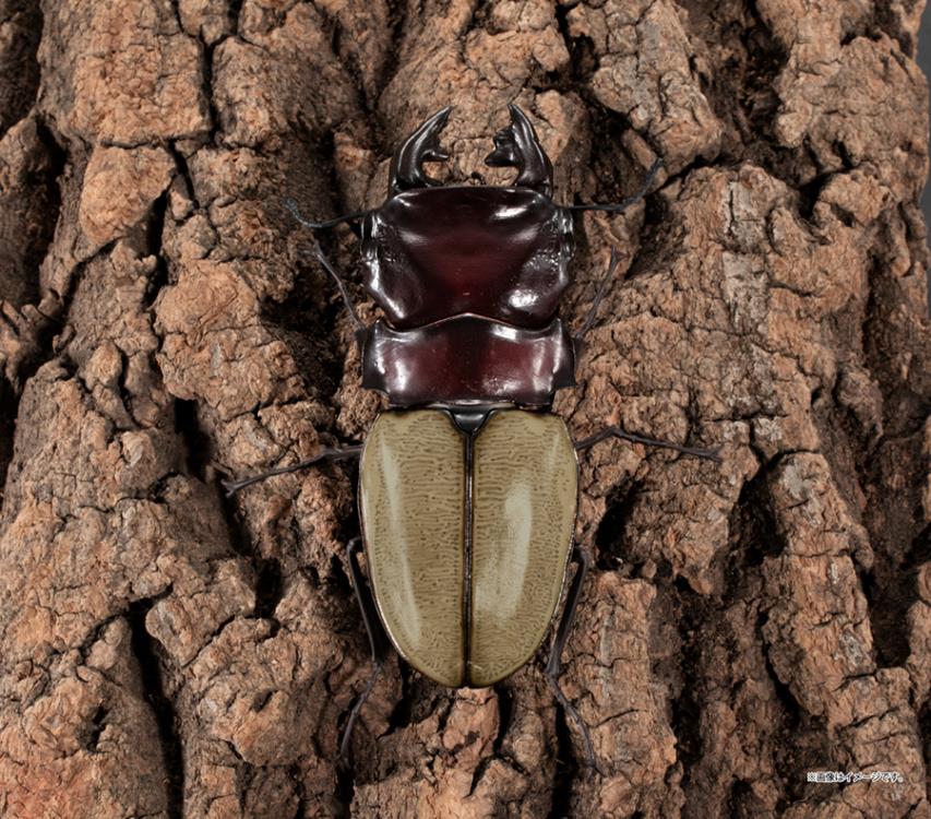 The Diversity of Life on Earth Stag Beetle 12 Bark Pedestal (Small) Figure Set Gallery Image 8