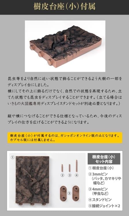 The Diversity of Life on Earth Stag Beetle 12 Bark Pedestal (Small) Figure Set Gallery Image 26