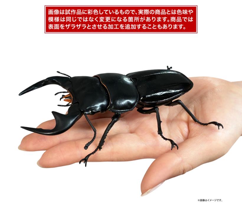 The Diversity of Life on Earth Stag Beetle 12 Bark Pedestal (Small) Figure Set Gallery Image 16