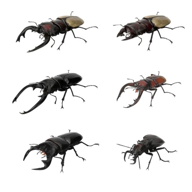 The Diversity of Life on Earth Stag Beetle 12 Bark Pedestal (Small) Figure Set Gallery Image 3