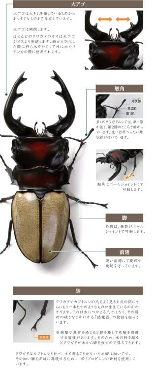 The Diversity of Life on Earth Stag Beetle 12 Bark Pedestal (Small) Figure Set Gallery Image 22