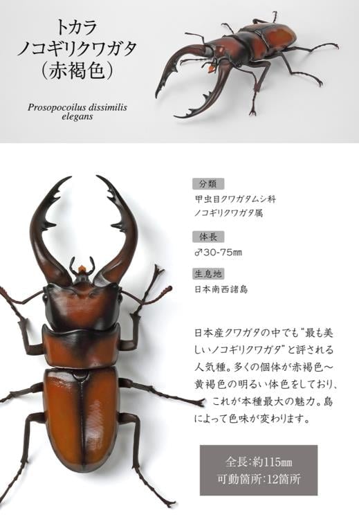 The Diversity of Life on Earth Stag Beetle 12 Bark Pedestal (Small) Figure Set Gallery Image 12