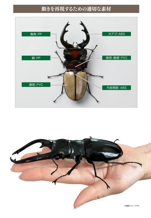 The Diversity of Life on Earth Stag Beetle 12 Bark Pedestal (Small) Figure Set Gallery Image 25