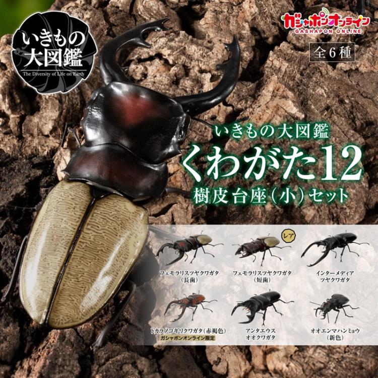 The Diversity of Life on Earth Stag Beetle 12 Bark Pedestal (Small) Figure Set Gallery Image 28
