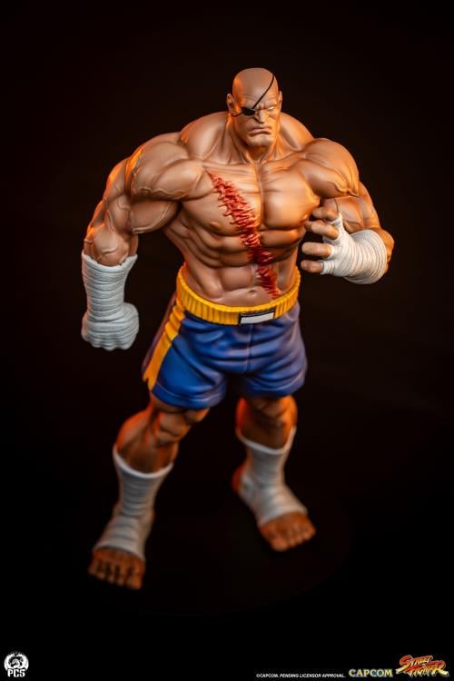 Street Fighter Street Jam Sagat & Juli 1/10 Scale Statue Set Gallery Image 10
