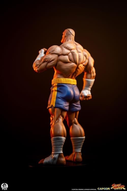 Street Fighter Street Jam Sagat & Juli 1/10 Scale Statue Set Gallery Image 8
