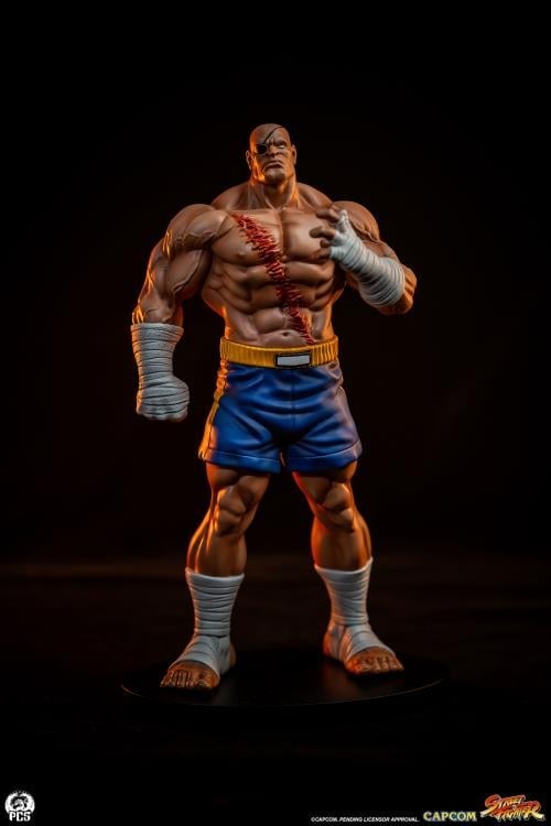 Street Fighter Street Jam Sagat & Juli 1/10 Scale Statue Set Gallery Image 9