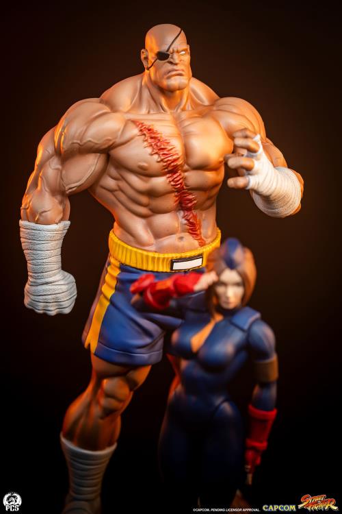 Street Fighter Street Jam Sagat & Juli 1/10 Scale Statue Set Gallery Image 11