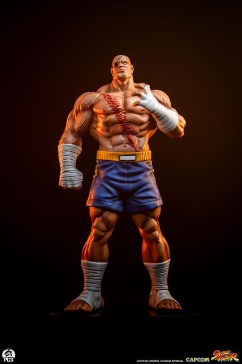 Street Fighter Street Jam Sagat & Juli 1/10 Scale Statue Set Gallery Image 5