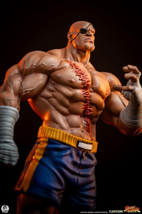 Street Fighter Street Jam Sagat & Juli 1/10 Scale Statue Set Gallery Image 12