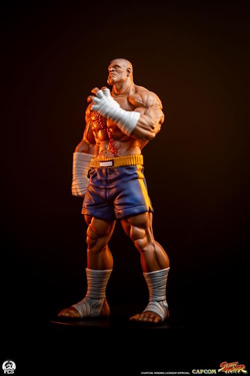 Street Fighter Street Jam Sagat & Juli 1/10 Scale Statue Set Gallery Image 7