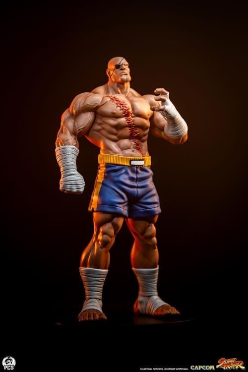 Street Fighter Street Jam Sagat & Juli 1/10 Scale Statue Set Gallery Image 6